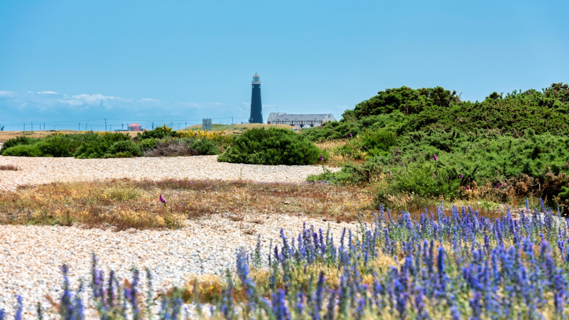 Discover Kent: Spend A Long Weekend At Tanner Farm Park