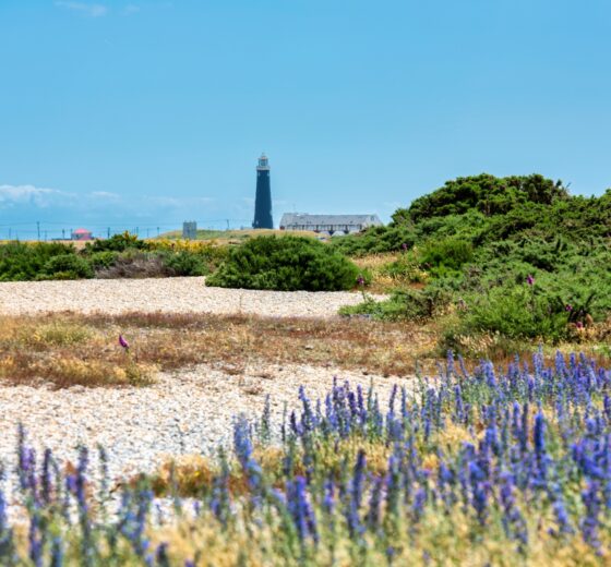 Discover Kent: Spend A Long Weekend At Tanner Farm Park