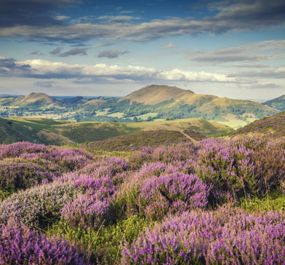 Visit These 10 Areas Of Outstanding Natural Beauty