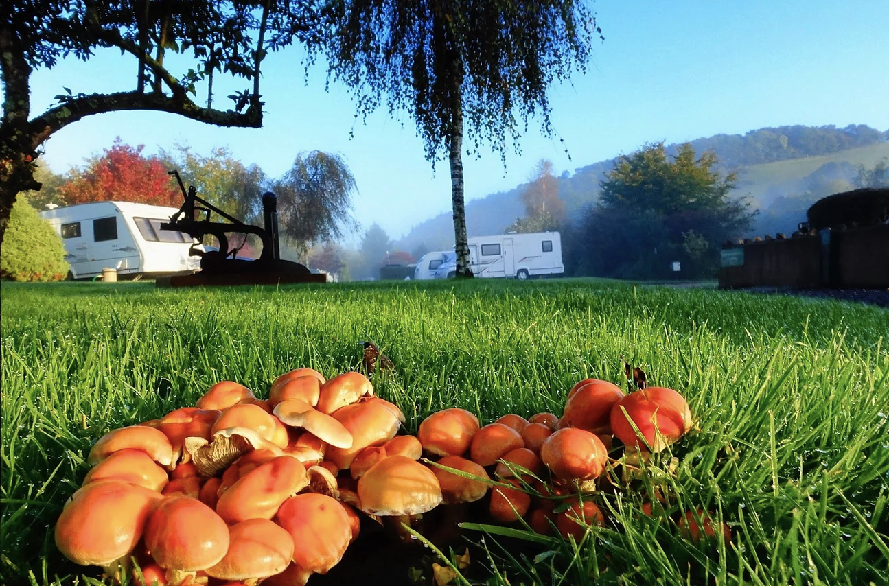 10 Reasons For Adventures In Your Caravan, Tent Or Motorhome This Autumn